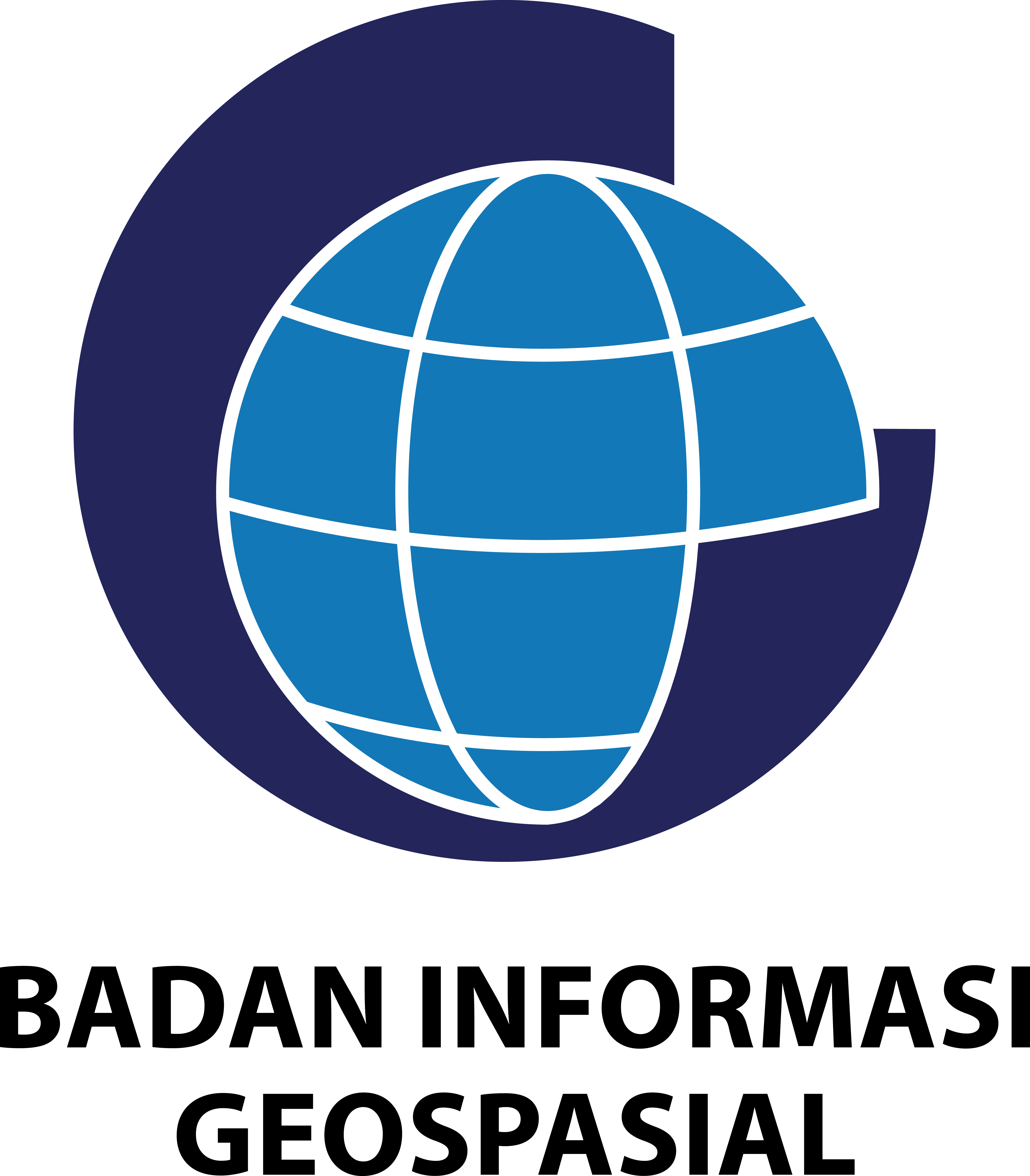 logo BIG